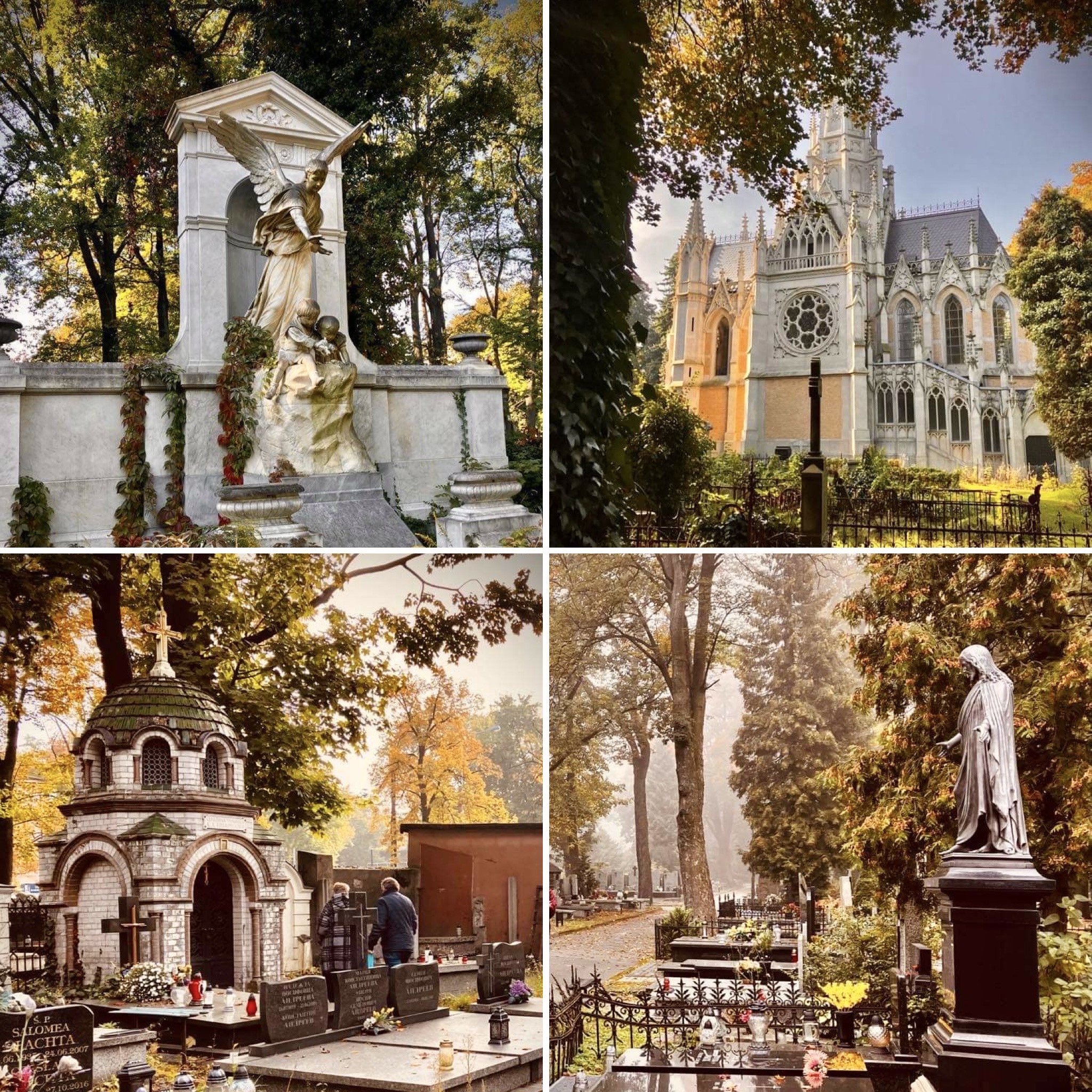 Stary cmentarz w Łodzi_Marta Piotrowska Stary cmentarz